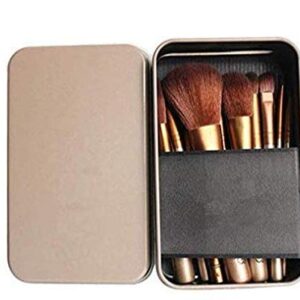 DATNASAYAD Makeup Brushes Kit with A Silver Storage Box - Set of 12, Multi
